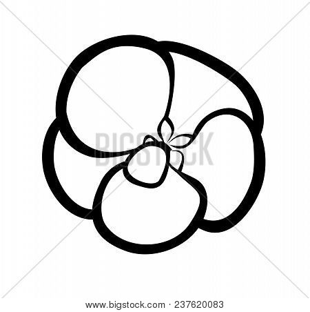 Vector Illustration, Isolated Abutilon Flower In Black And White Colors