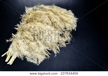 Fluffy Beige Reed Bent Tops On Black Background Surface With Free Space