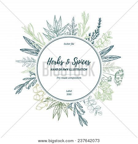 Hand Drawn Vector Illustration. Label With Herbs And Spices (sage, Tarragon, Ginger). Herbal Pre-mad