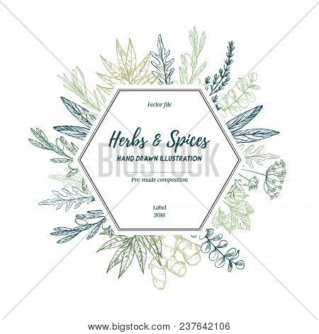 Hand Drawn Vector Illustration. Label With Herbs And Spices (sage, Tarragon, Ginger). Herbal Pre-mad