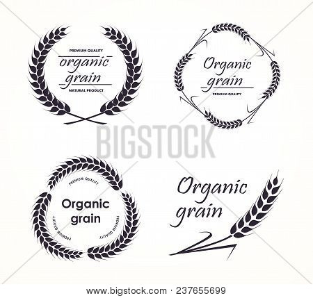 Agriculture Wheat Logo Template Vector Icon Design. Wheat Ears Isolated On White Background.