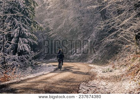 A Woman Cycling On An Unpaved Forest Road On A Cold Winter Day. The Fresh Snow Is Falling From The T