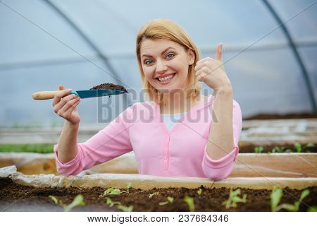 Smiling Lady In Pink Cardigan Working In Greenhouse. Blond Woman With Short Hair Holding Small Garde