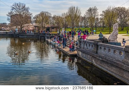 Newark, New Jersey - April 21 - Families Enjoy Feeding The Ducks During The  Cherry Blossom Festival