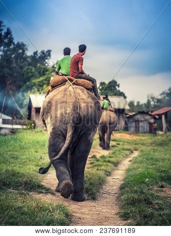 Two nepalese men riding on the elephant toward the stable, Nepal.
