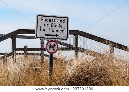Absurd Funny Sign On A Pier, German Text, Badestrand Für Gäste Mit Hunden, Meaning Beach For Guests 