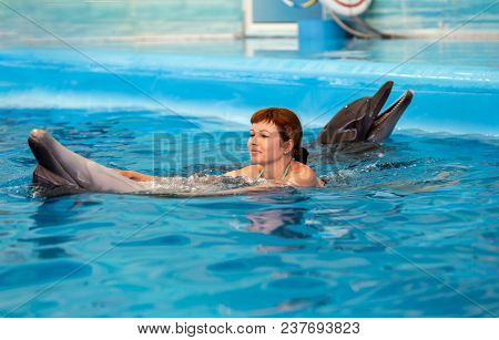 Young Happy Girl Playing With Dolphin In Swimming Pool