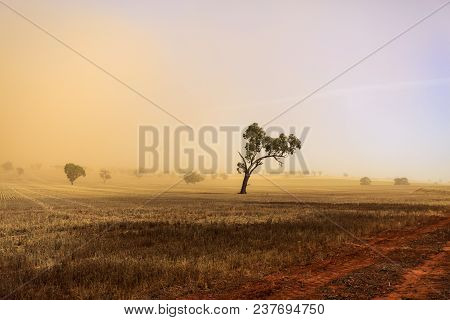 Dust Storm Blowing Over The Agricultural Fields Between Wagga Wagga And Temora, New South Wales