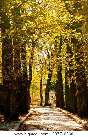 The Pere Lachaise Cemetery in Paris in the fall
