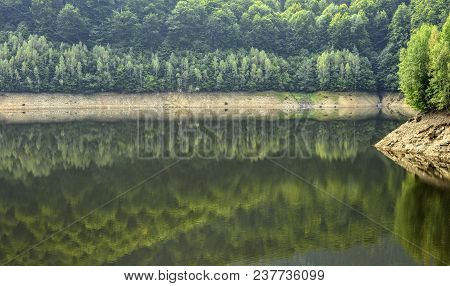 Daylight Misty View To Mountains Full Of Green Trees