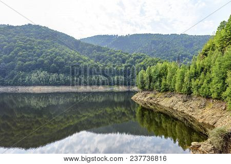 Daylight Misty View To Mountains Full Of Green Trees