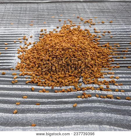 Fragrant Grains Of Fenugreek On A Rustic Background.