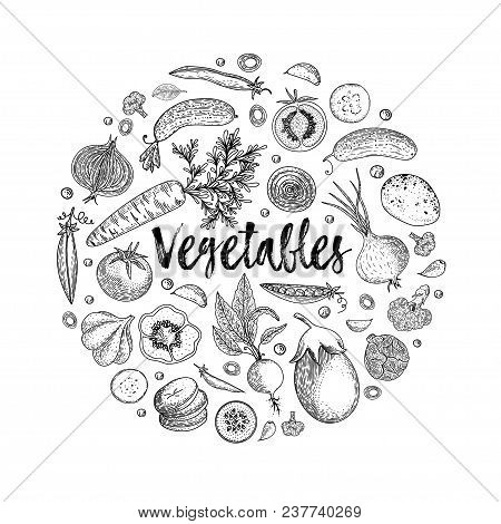 Vegetables Top View Frame. Ink Hand Drawn Vector Illustration. Farmers Market Menu Design Template. 