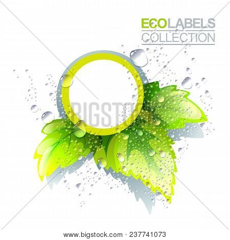 Eco Label Template