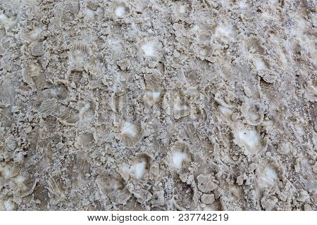 Dirty Tracks Of Snow On Asphalt, The First Snow, The City. Bad Ecology, Dirty Snow. Footprint Of Sho