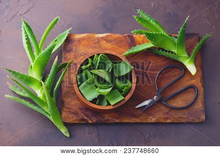 aloe vera on dark background - alternative medicine
