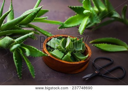 aloe vera on dark background - alternative medicine