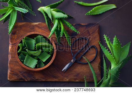 aloe vera on dark background - alternative medicine