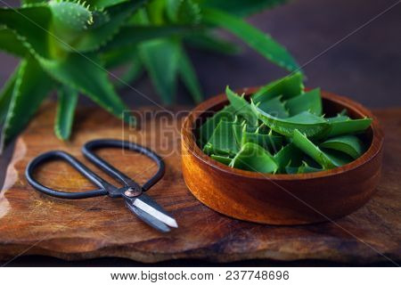 aloe vera on dark background - alternative medicine