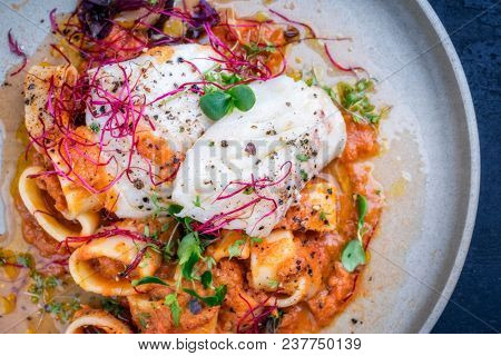 braised codfish filet and lettuce, herbs with calamarata noodles as top view on a plate