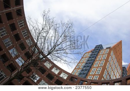 Clioplein