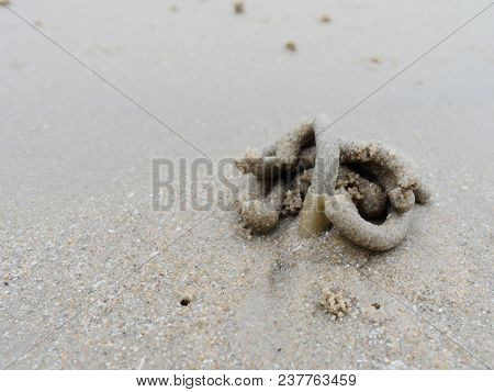 Abstract Shape Of Swirl Of Sand And Mud On The Beach Cast By Lug Or Sand Worms With Sediment Balls O