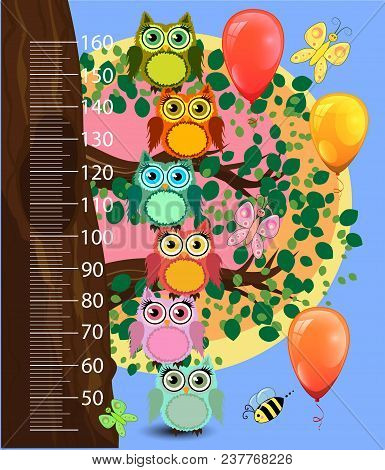 Kids Height Meter With Cute Owls. Funny Stadiometer From 50 To 160 Centimeter.