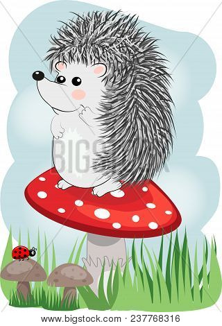 Lovely Cartoon Hedgehog Sits On A Fly Agaric Mushroom, Baby Card