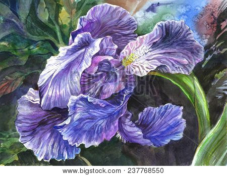 Beautiful Drawn Iris Flower Against The Background Of Greens