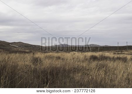 Steppe Landscape. Steppe Background. Springtime. Steppe Horizon.