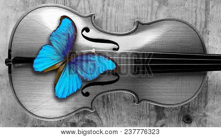 Beautiful Blue Butterfly Morfa Sitting On A Violin Close-up