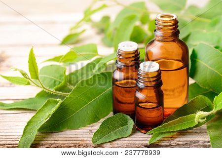 Eucalyptus Essential Oil And Fresh Eucalyptus Leaves On The Wooden Board