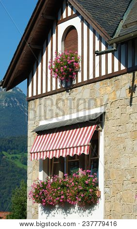 A Colorful House With Light Pink Pelargonium