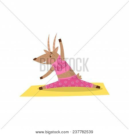 Cute Antelope Warming-up And Stretching Before Training. Funny Humanized Animal In Pink Sportswear. 