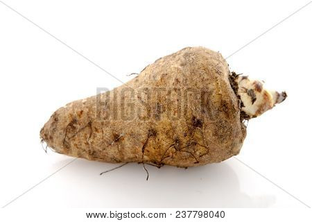The Jerusalem Artichoke (helianthus Tuberosus), Also Called The Sunroot Or Sunchoke Or Earth Apple O