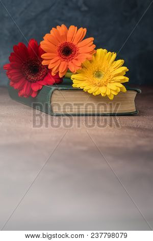 Autumn Back To School Postcard Concept, Old Book, Daisies, Toned