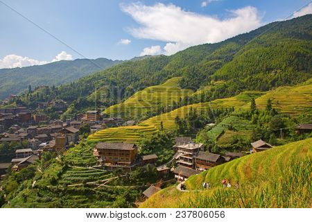 The Longsheng Rice Terraces(Dragon's Backbone) also known as Longji Rice Terraces are located in Longsheng County, about 100 kilometres (62 mi) from Guilin, Guangxi, China