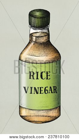 Hand drawn komezu rice vinegar