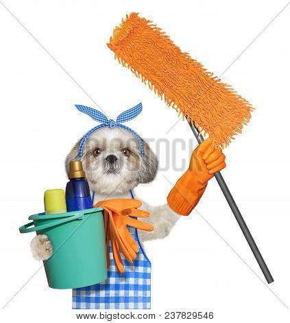 Shitzu Dog In Apron With Mop Doing Household Chores. Isolated On White Background