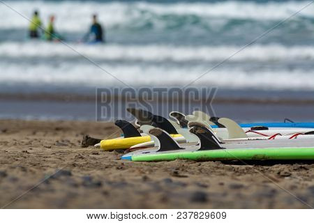 Surf Boards On Sandy Beach, Surfschool Famara Beach, Lanzarote