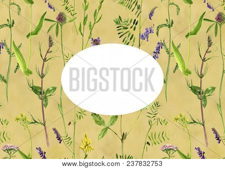 Vintage Template With Watercolor Drawing Palnts And Flowers, Hand Drawn Illustration