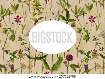 Vintage Template With Watercolor Drawing Palnts And Flowers, Hand Drawn Illustration