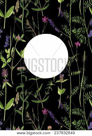 Black Template With Watercolor Drawing Palnts And Flowers, Hand Drawn Illustration