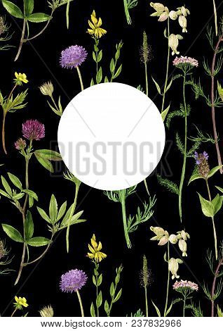 Black Template With Watercolor Drawing Palnts And Flowers, Hand Drawn Illustration