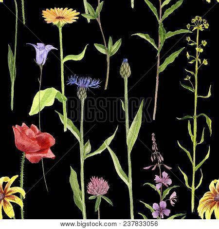Seamless Pattern With Watercolor Drawing Palnts And Flowers At Black Background, Hand Drawn Illustra