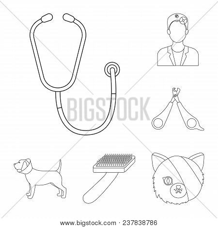 Veterinary Clinic Outline Icons In Set Collection For Design. Treatment Of A Pet Vector Symbol Stock