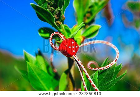 Green Leaves Buds, Macro View, Spring Backdrop. Bulgarian Traditional Decoration Red Lace, Baba Mart