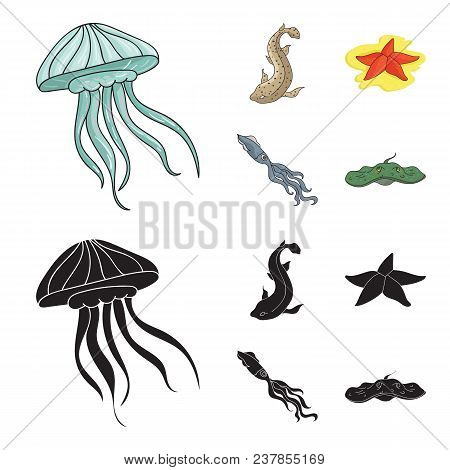 Jellyfish, Squid And Other Species.sea Animals Set Collection Icons In Cartoon, Black Style Vector S