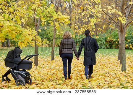 Man and woman walk on glade in autumn park holding hands, rear view. 
