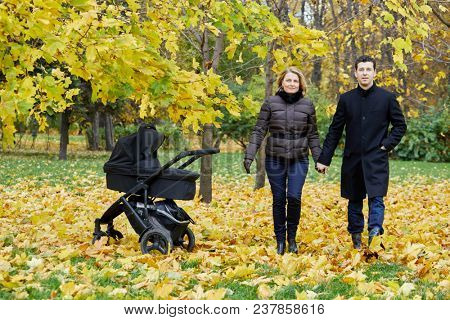 Man and woman walk on glade in autumn park holding hands. 